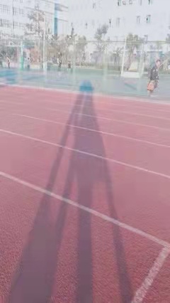 那曲市聂荣县公共体育场田径跑道和足球场建设项目